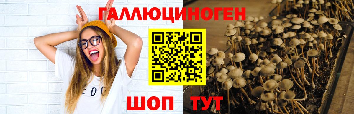 Галлюциногенные грибы Cubensis Донецк